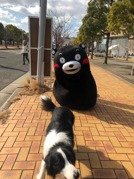 0117ひょうご (17).jpg